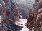 Glacier National Park
