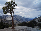 Yosemite National Park