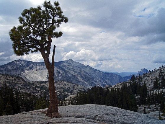 Yosemite National Park