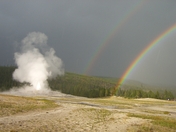 Yellowstone NP