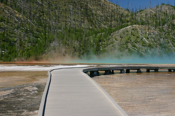 Yellowstone NP