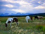 Grand Teton National Park
