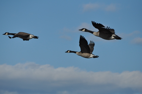 Parker River National Wildlife Refuge