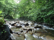 Great Smoky Mountains National Park 