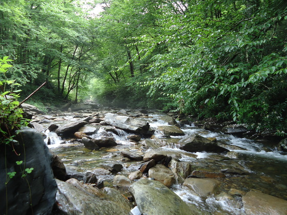 Great Smoky Mountains National Park 