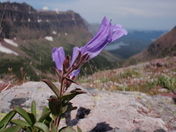 Glacier National Park
