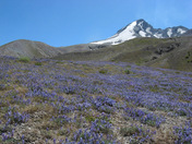 Mount St. Helens National Volcanic Monumen