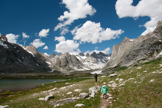 Bridger Teton National Forest