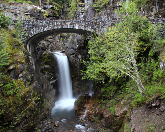 Mount Rainer National Park