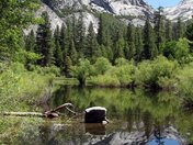 Yosemite National Park