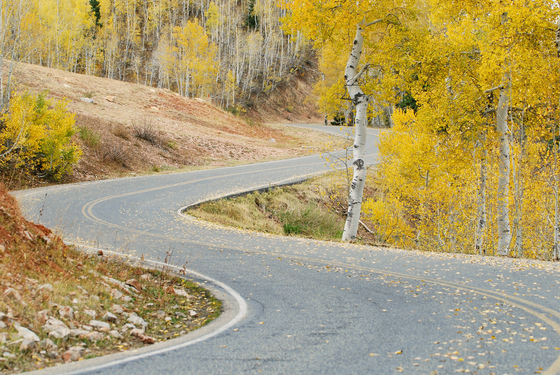 Uinta-Wasatch-Cache National Forest