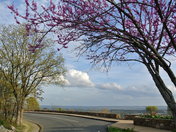 Hot Springs national Park