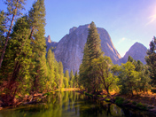 Yosemite National Park