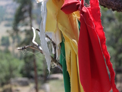 Devil's Tower National Monument