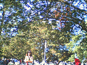 Minuteman National Park