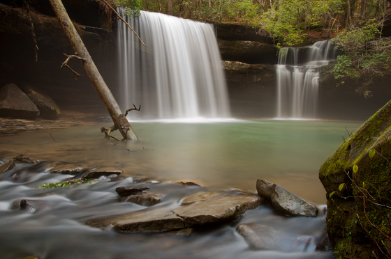 Bankhead National Forest