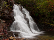 Talladega National Forest