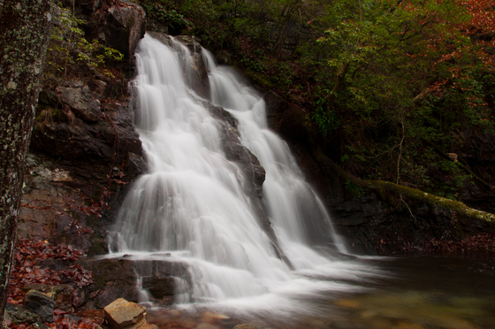 Talladega National Forest