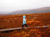 Steese National Conservation Area