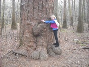Congaree National Park