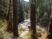 Olympic National Park