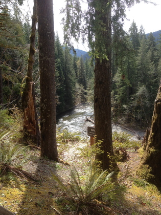 Olympic National Park