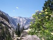 Kings Canyion National Park