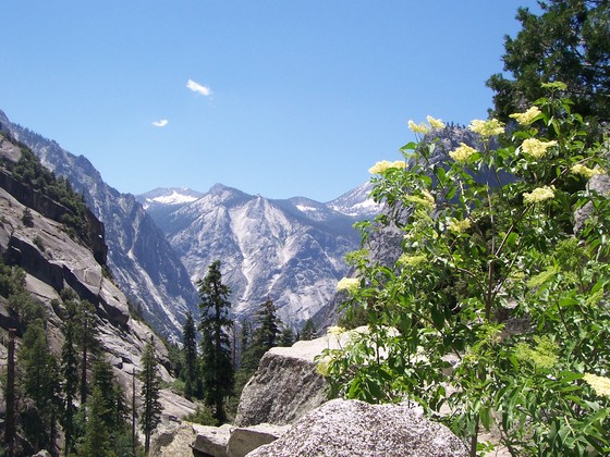 Kings Canyion National Park