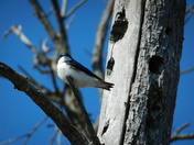 Horicon National Wildlife Refuge