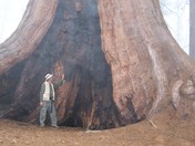 Sequoia National Park
