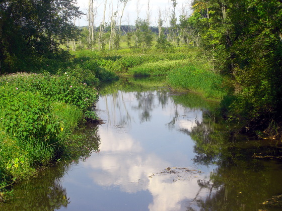 Great Swamp National Wildlife Reuge