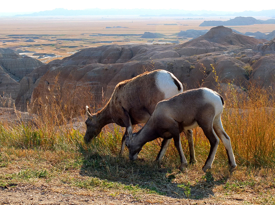 Badlands National Park