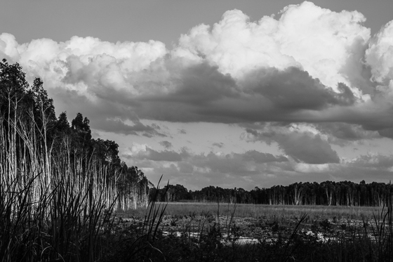 Everglades National park 