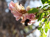 Grand Canyon National Park