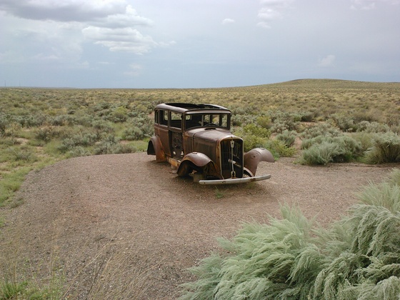 Petrified Forest National Park