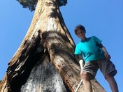 Sequoia National Park