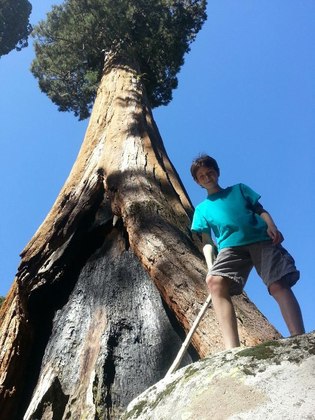 Sequoia National Park