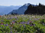 Mount Rainier National Park