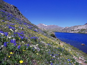Bighorn National Forest