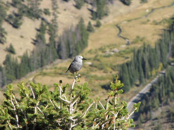 Rocky Mountain National Park