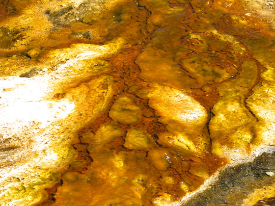 Yellowstone National Park