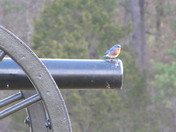 Chickamauga and Chattanooga National Military Park