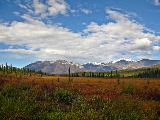 Wrangell-St. Elias National Park and Preserve