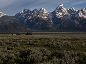 Grand Teton National Park