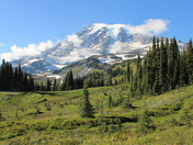 Mt. Rainier National Park