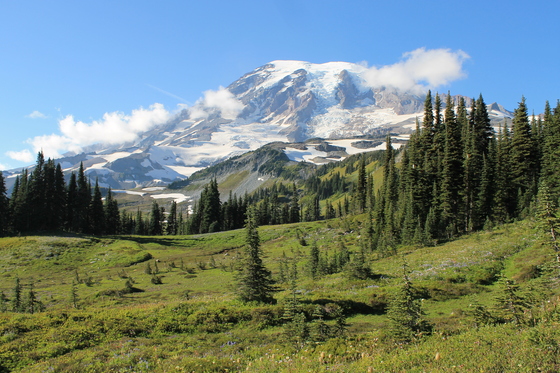 Mt. Rainier National Park