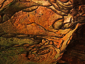 Daniel Boone National Forest