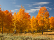 Grand Teton National Park