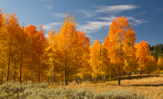 Grand Teton National Park