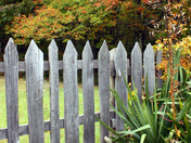 Cumberland Gap National Park